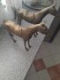 бронзови масивни кончета, снимка 1 - Антикварни и старинни предмети - 42675525