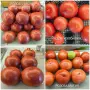Семена от стари селски сортове домати,краставици и други, снимка 2