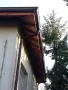 Американски безшевни улуци , снимка 3