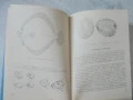 № 8158 Наръчник на ловеца и риболовеца – Земиздат, 1974 г. , снимка 5
