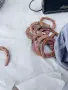 Стари подкови за късмет , снимка 2