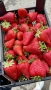 Продавам разсад ягоди , снимка 5