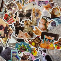 Водоустойчиви стикери 50х бр-Котки,Cats,Kitty(лаптопи,коли,тротинетки,мотори,каски,Xbox,PS4-5 и др), снимка 8 - Аксесоари и консумативи - 36060457