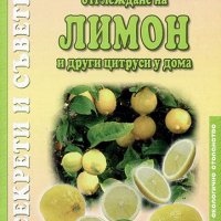 Отглеждане на лимон и други цитруси у дома, снимка 1 - Специализирана литература - 17511517