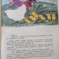 Книга "Приключение край малкия поток - Д.Йосифова" - 16 стр., снимка 6 - Детски книжки - 41416628