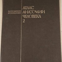 Атлас анатомии человека. Том 2 Р. Д. Синельников, снимка 3 - Специализирана литература - 34695276