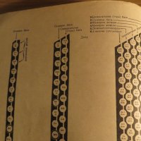 Начална школа за акордеон, учебник за акордеон Христо Радоев  Научи се да свириш на акордеон 1961, снимка 7 - Акордеони - 35663237