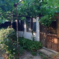 Къща с двор и овощна градина в с.Кочово, снимка 1 - Къщи - 41608160