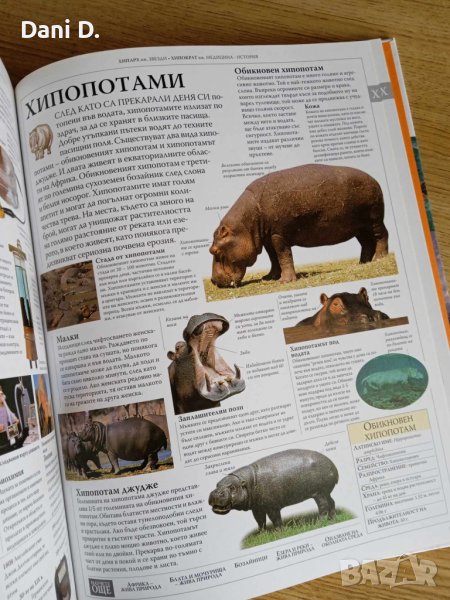 илюстрована семейна енциклопедия, снимка 1