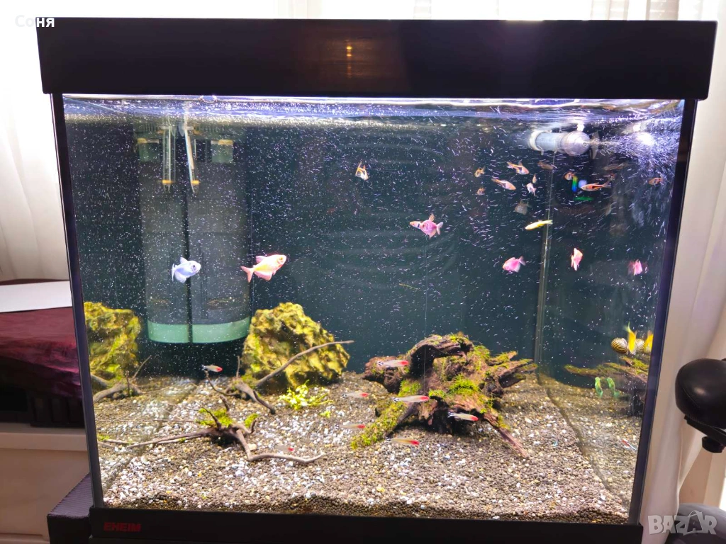 Аквариум с поставка / шкаф EHEIM Vivaline 150 + цялостно оборудване, снимка 1
