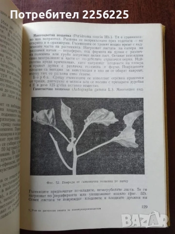 Ръководство по растителна защита за зеленчукопроизводителя, снимка 7 - Специализирана литература - 50611780