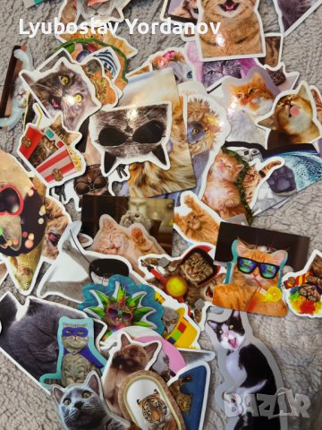 Водоустойчиви стикери 50х бр-Котки,Cats,Kitty(лаптопи,коли,тротинетки,мотори,каски,Xbox,PS4-5 и др), снимка 8 - Аксесоари и консумативи - 36060457