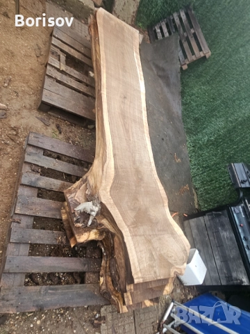 Продавам янове от орех, снимка 13 - Дърводелски услуги - 51842674