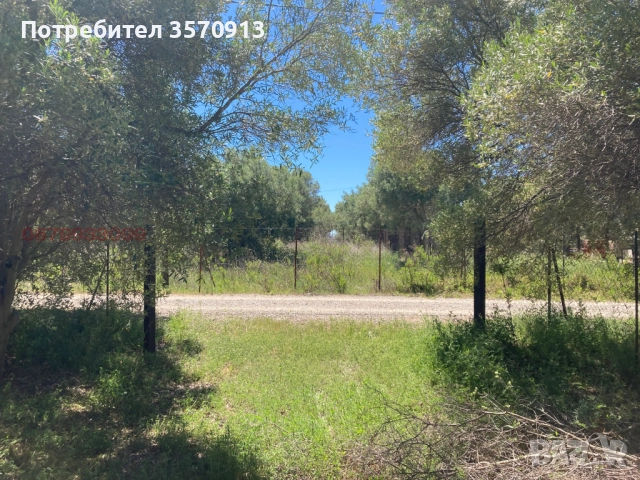 Парцел в Халкидики, снимка 2 - Парцели - 52634297