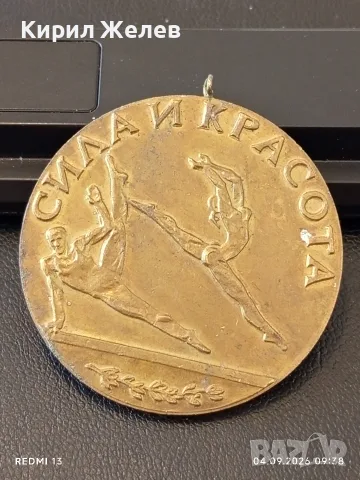 Два плакета Средновековна цивилизация в България,СИЛА и КРАСОТА за КОЛЕКЦИЯ 16400, снимка 7 - Антикварни и старинни предмети - 55947105