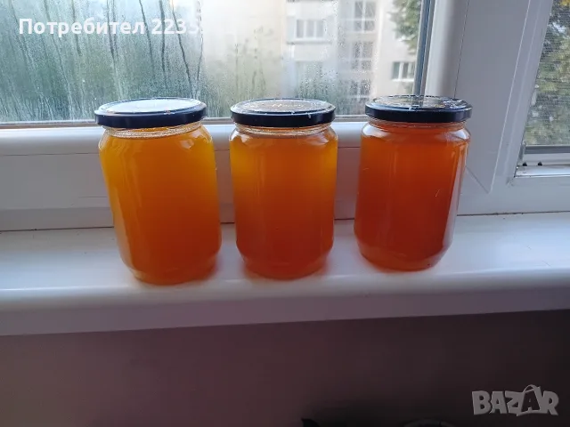 Домашен пчелен мед