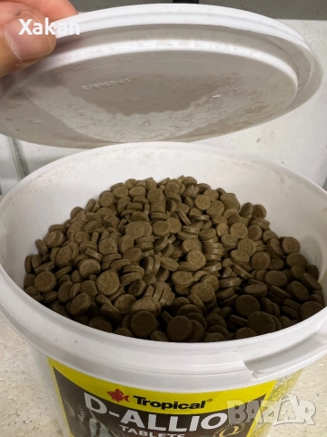 Тропикал d-allio plus  tablet чесън, снимка 2 - Други - 34796408