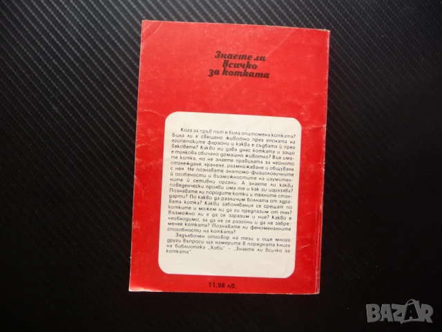 Знаете ли всичко за котката Веселин Денков котета котки мишки домашни любимци храна грижи, снимка 4 - Други - 50972241