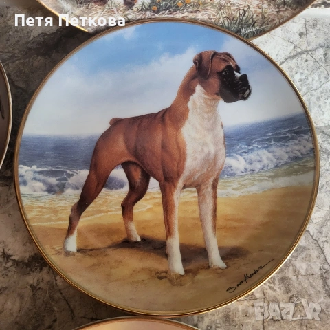 Чинии за стена , снимка 6 - Декорация за дома - 53054437