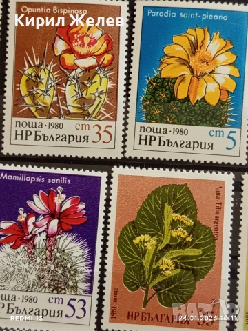 Стари пощенски марки без печат ЦВЕТЯ ВИЕТНАМ,НРБ за КОЛЕКЦИЯ 52072, снимка 5 - Филателия - 53208310