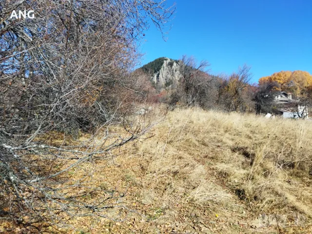 Продава панорамен парцел Смолянски езера , снимка 11 - Парцели - 48047132