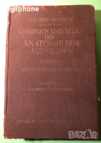 Стара Книга Анатомия ма Човека /Rauber Kopsch, снимка 4 - Специализирана литература - 49218517