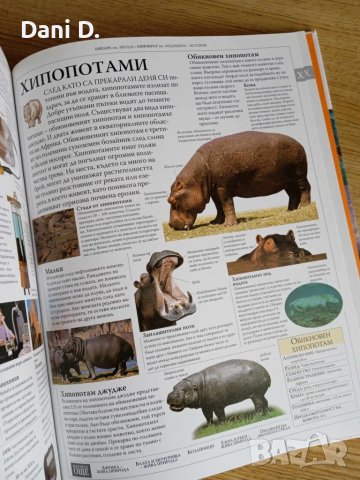 илюстрована семейна енциклопедия, снимка 1