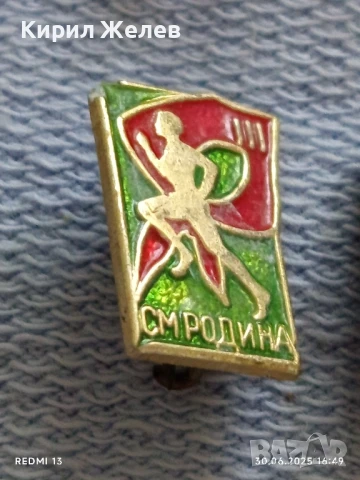 Лот значки 10 броя стари редки от соца СМ РОДИНА за КОЛЕКЦИЯ ДЕКОРАЦИЯ 48964, снимка 7 - Колекции - 50850526