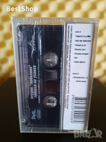 Вокална студия Амбелино и Глория - Тайната на успеха, снимка 2 - Аудио касети - 36277137