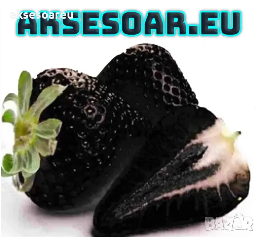 100 семена от плод черна ягода органични плодови ягодови семки от вкусни черни ягоди отлични плодове, снимка 2 - Сортови семена и луковици - 50417961