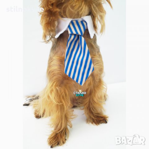 Вратовръзка за дребни, средни и едри породи кучета Кучешки вратовръзки Кучешка вратовръзка/папийонка, снимка 13 - За кучета - 29407299