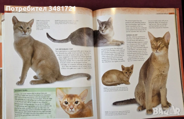 Енциклопедия на котките / Encyclopedia of Cats, снимка 10 - Енциклопедии, справочници - 53748636