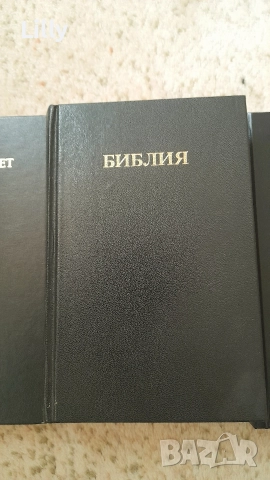 3 нови библии Цена 10 лв, снимка 2 - Българска литература - 52774575