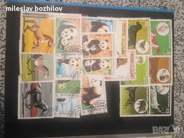 Класьор с марки, снимка 9 - Филателия - 53253096