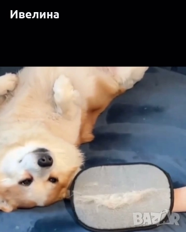 Ръкавица за почистване на козина – за мебели, дрехи и кола, снимка 5 - Други стоки за животни - 51620606