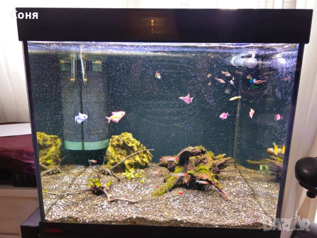 Аквариум с поставка / шкаф EHEIM Vivaline 150 + цялостно оборудване