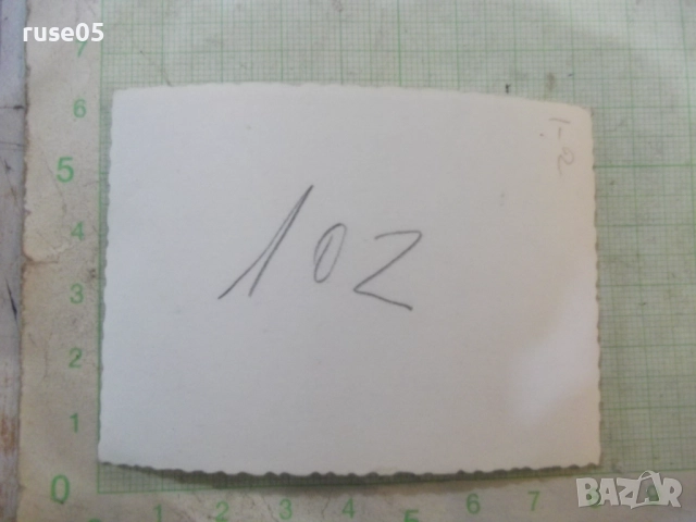 Снимка на група пред паметник, снимка 2 - Колекции - 52019816