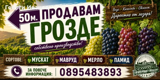 Грозде шардоне,  мавруд и мерло