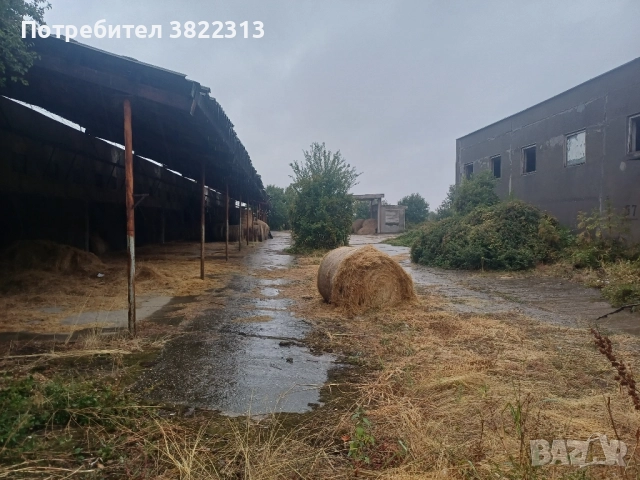 Продавам-давам под наем поземлен имот с.Малчика ,общ.Левски ,обл.Плевен, снимка 2 - Парцели - 51934926