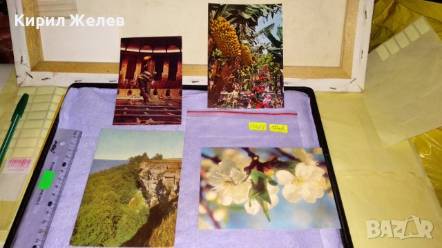 ЛОТ 4 РЕДКИ СТАРИ ПОЩЕНСКИ КАРТИЧКИ ТЕМА ДИВА ПРИРОДА ФЛОРА ПАМЕТНИК СССР 33417