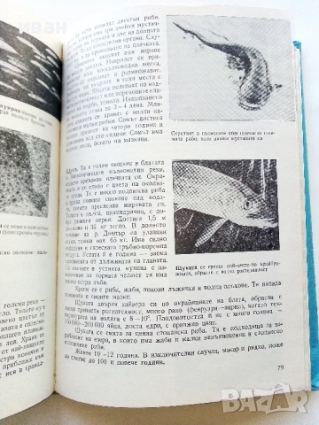 Зоология за 7.клас - Г.Паспалиев,А.Захариева,П.Козлева - 1968г., снимка 4 - Учебници, учебни тетрадки - 52403268