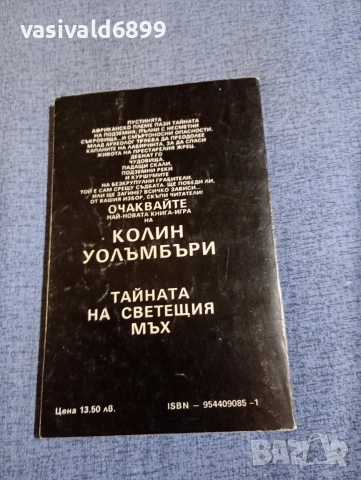 "В лабиринта на времето", снимка 3 - Художествена литература - 52739559