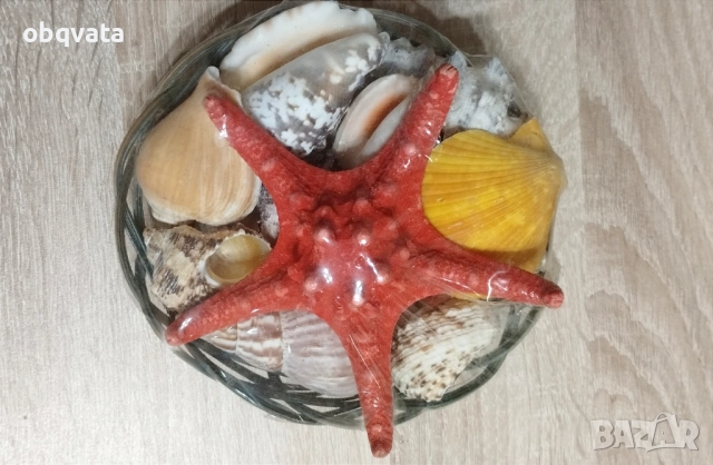 Нова кошничка с Морска звезда и естествени раковини., снимка 2 - Други стоки за дома - 52987284