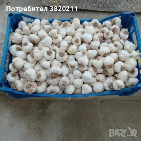 Продавам летен чесан реколта 2026г.