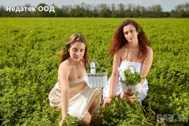 Био флорална вода Essences Bulgaria, Маточина, 140 мл, снимка 3 - Други - 36046174