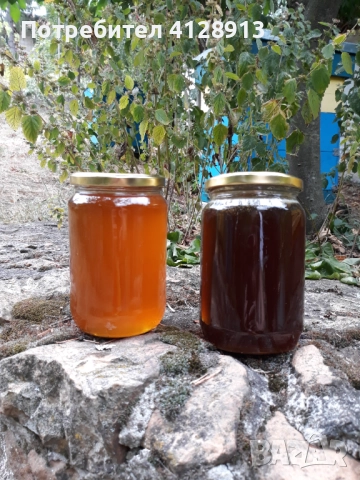 Продавам пчелен мед добит през 2025 година, снимка 1