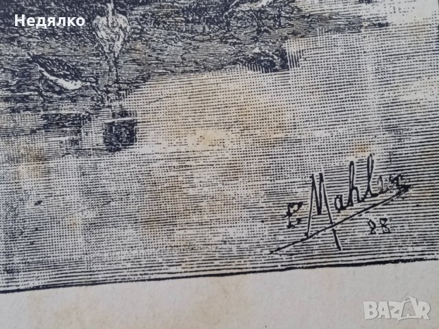 Списание "Природа",Първи брой,1893г., снимка 8 - Антикварни и старинни предмети - 35869889