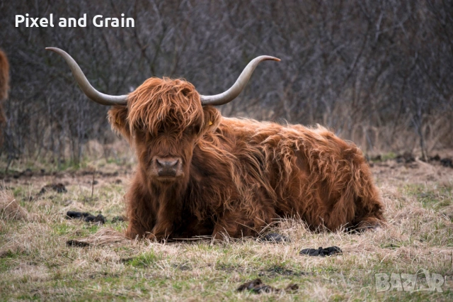 Nikon AF-S 55-200mm f/4-5.6G ED VR обектив Никон, снимка 9 - Обективи и филтри - 53671254