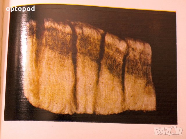 Албум за вълната. ЗЕМИЗДАТ-1969г., снимка 8 - Специализирана литература - 34491544