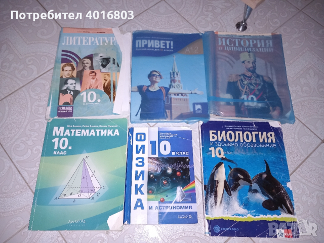 Учебници за 10 клас.Архимед,Просвета, снимка 6 - Учебници, учебни тетрадки - 44638402